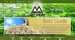 Desktop Screenshot of moringalightenergy.com